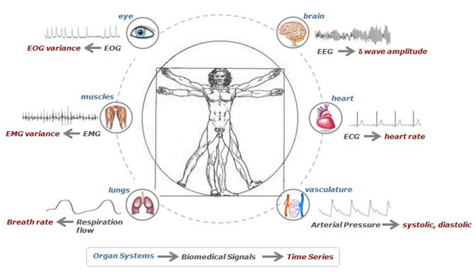 Directed brain-heart interactions during sleep