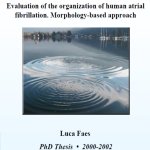 PhD Thesis 2003